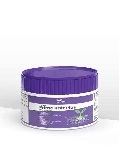 PRIME RAIZ  PLUS